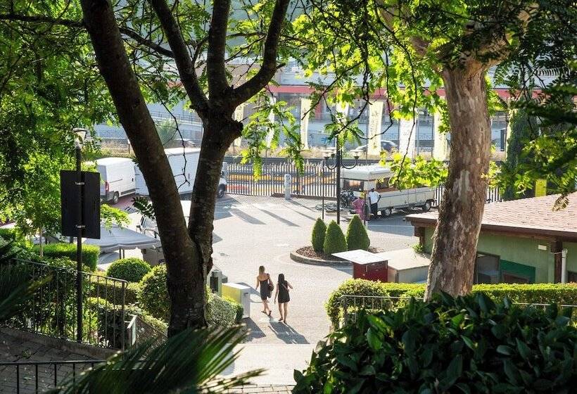 Hu Roma Camping In Town