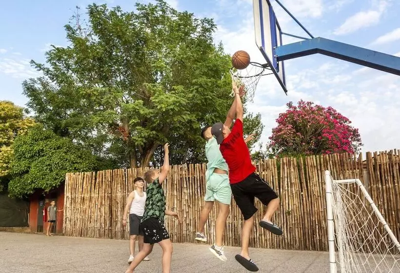 Hu Roma Camping In Town