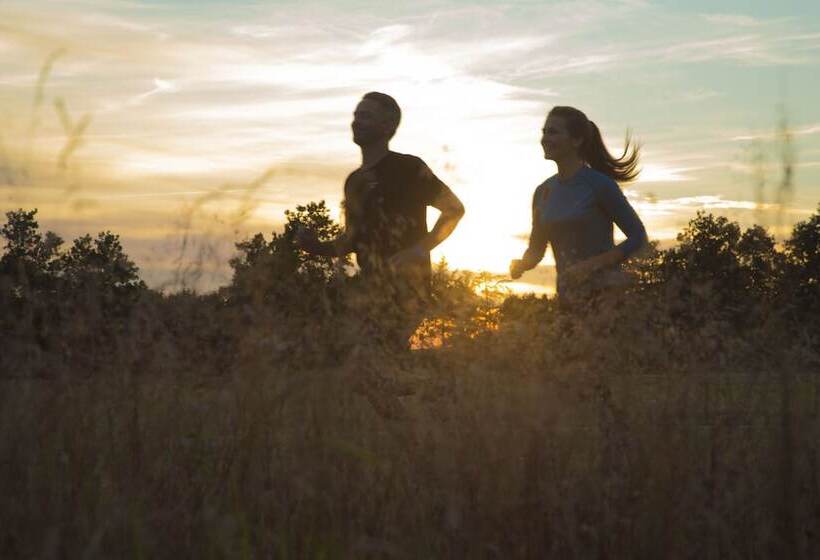 אתר נופש Lalandia Billund