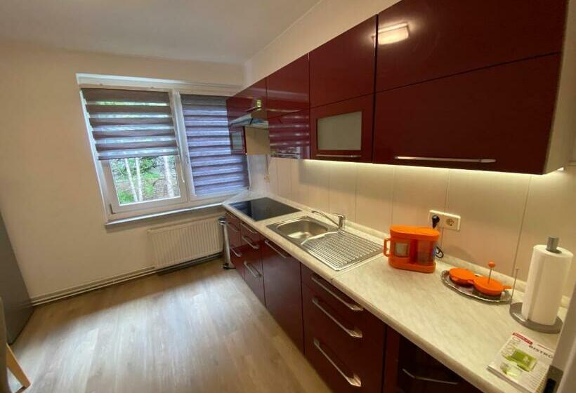 فندق صغير Pension Florion