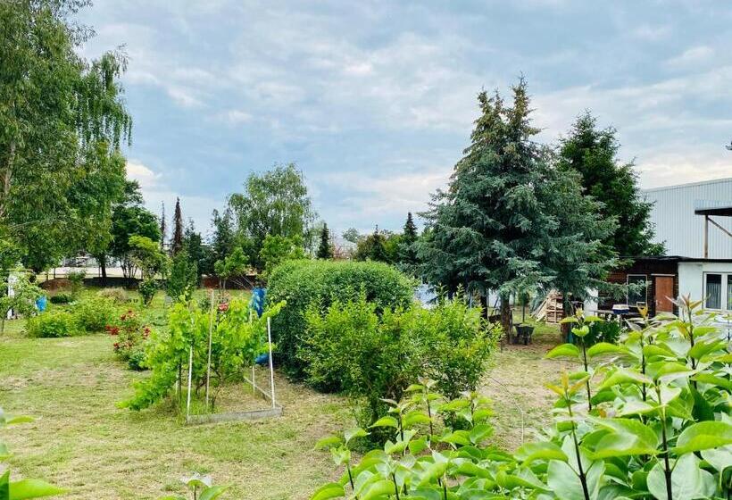 فندق صغير Pension Florion