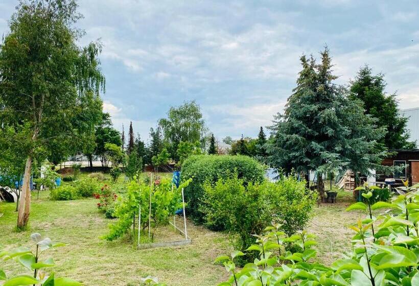 فندق صغير Pension Florion