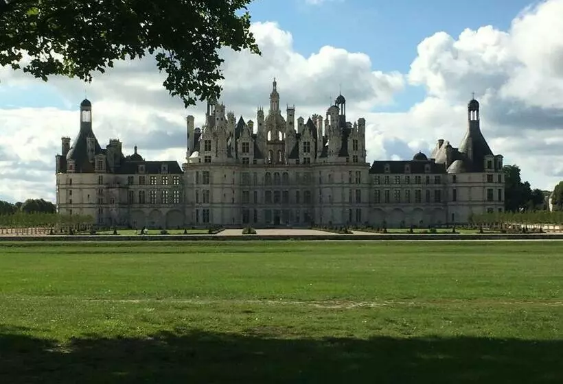 تختخواب و صبحانه Belem