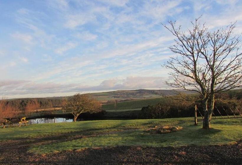 住宿加早餐  Little Hilton Farm