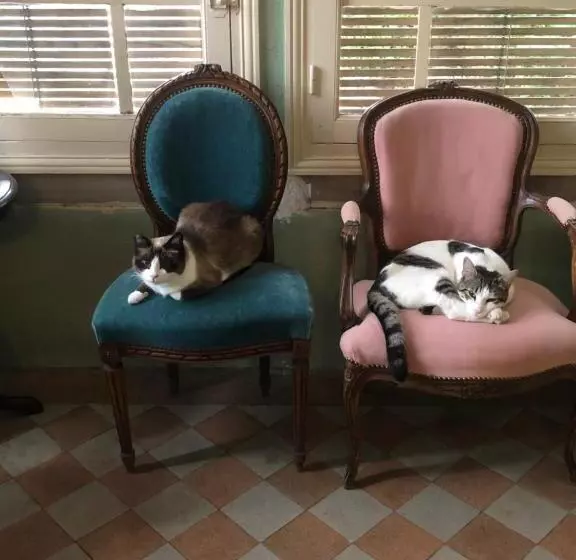 Aamiaismajoitus (B&B) Maison De La Comtesse