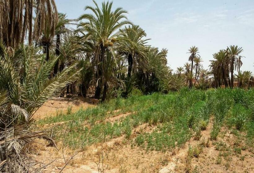 Bed and Breakfast Maison Etoile Du Desert