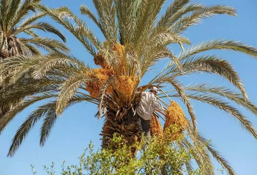 Aamiaismajoitus (B&B) Maison Etoile Du Desert