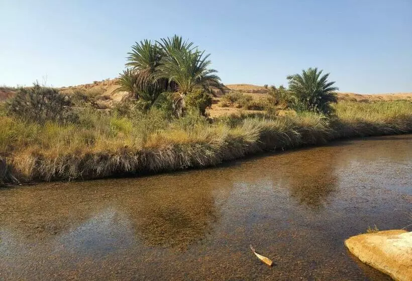 Aamiaismajoitus (B&B) Maison Etoile Du Desert