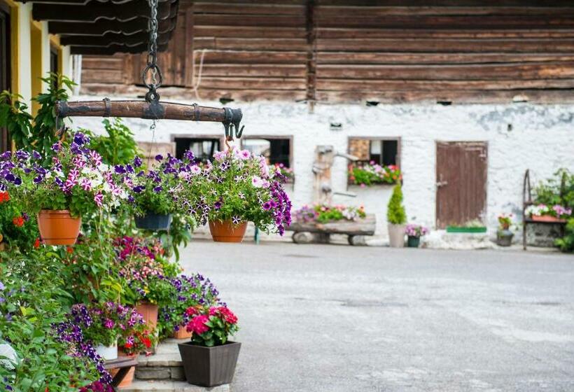 Пансион Salaterhof Embach