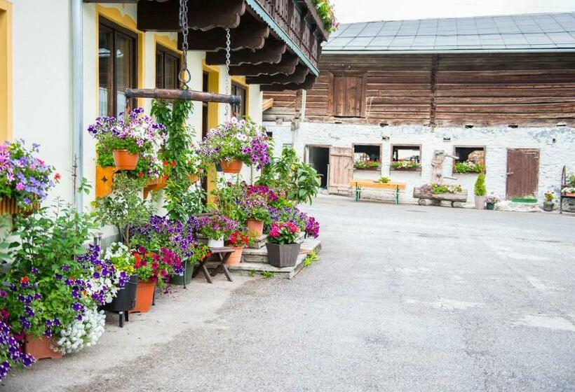 Пансион Salaterhof Embach