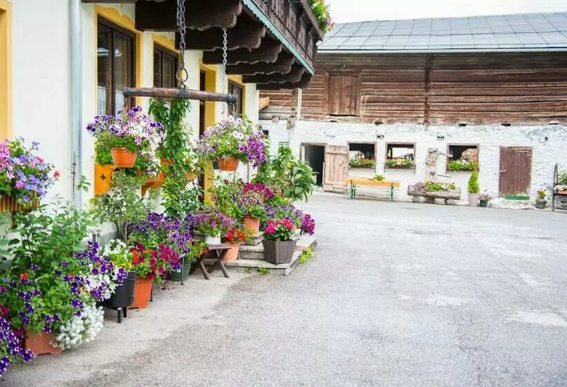 ペンション Salaterhof Embach