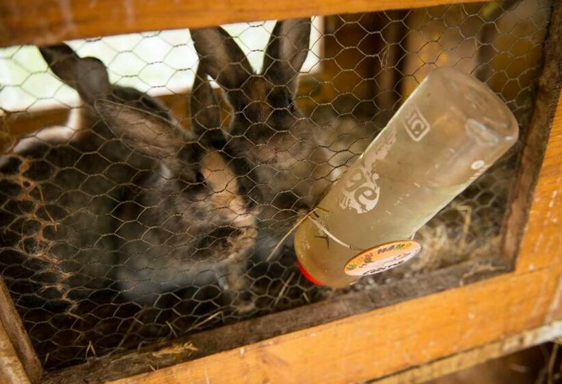 Пансион Salaterhof Embach