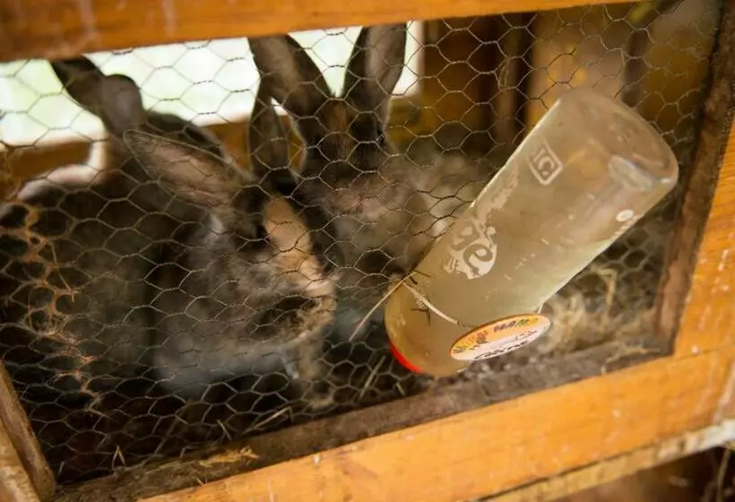 ペンション Salaterhof Embach