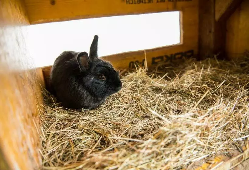 ペンション Salaterhof Embach