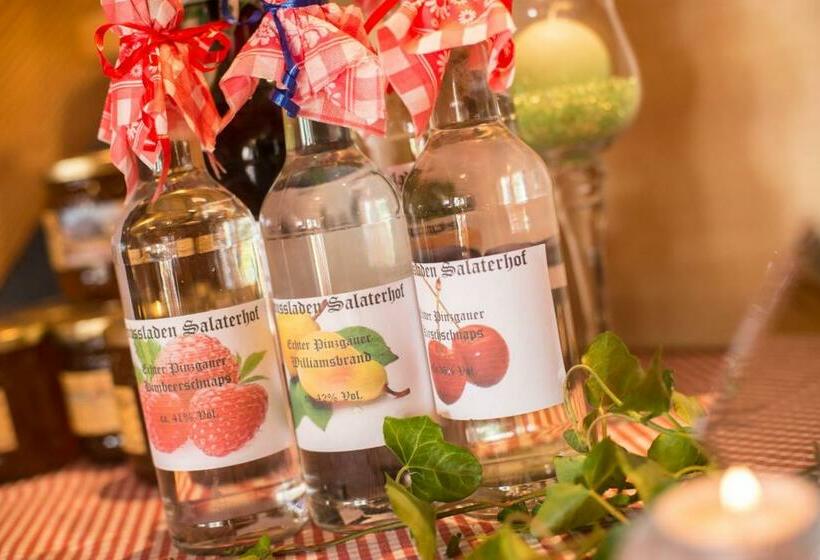 Пансион Salaterhof Embach