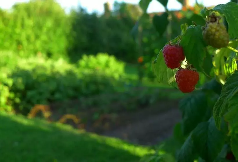 Aamiaismajoitus (B&B) Garwood House