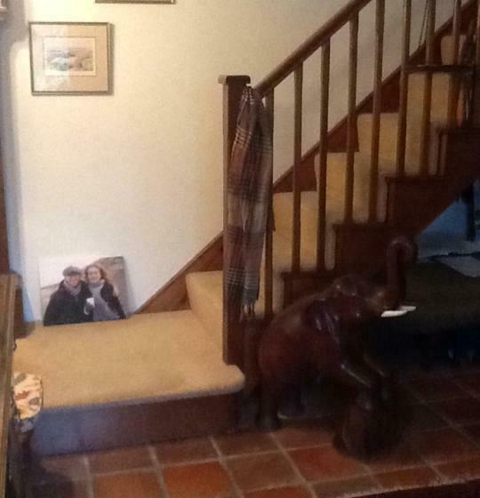 Bed and Breakfast Garwood House