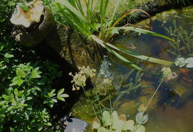 Bed and Breakfast Herb Cottage