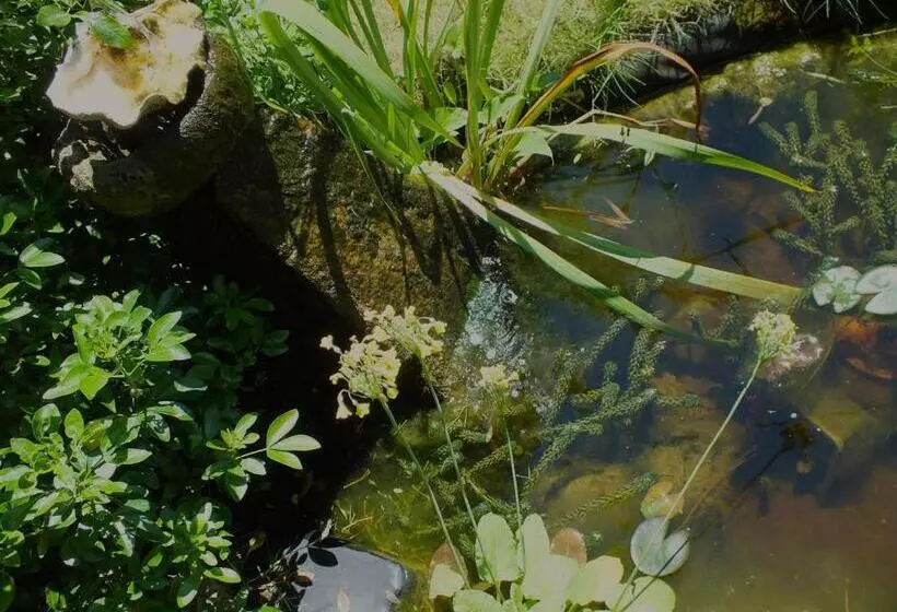 تختخواب و صبحانه Herb Cottage