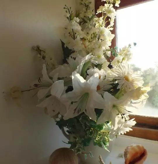 تختخواب و صبحانه Herb Cottage