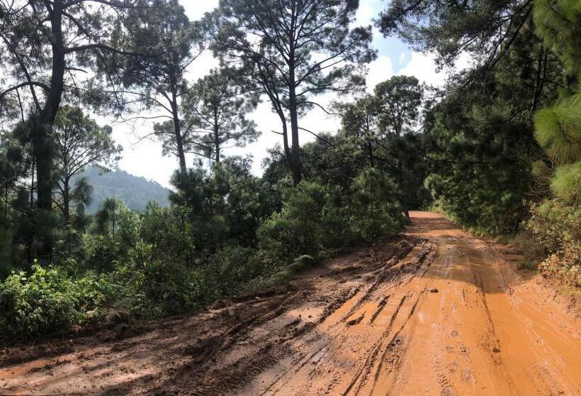 فندق Chiflon Villas