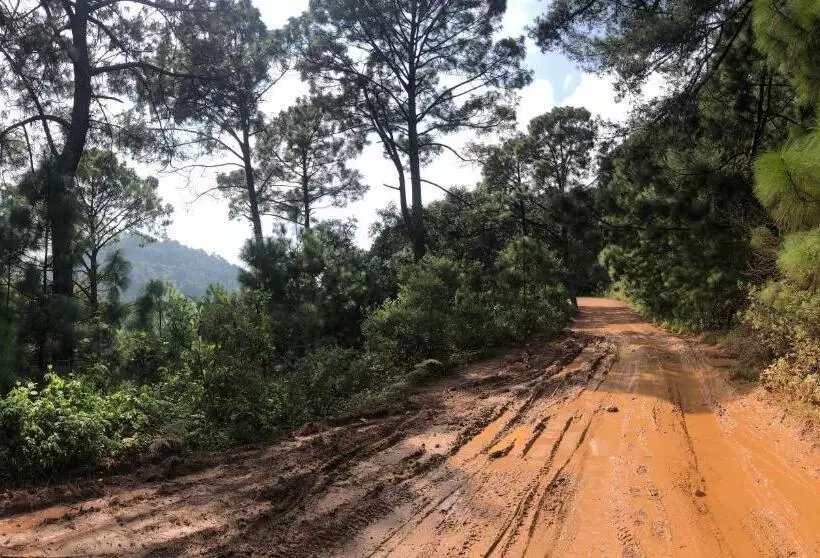 Hotelli Chiflon Villas