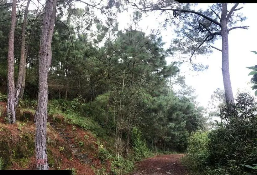 Hotelli Chiflon Villas