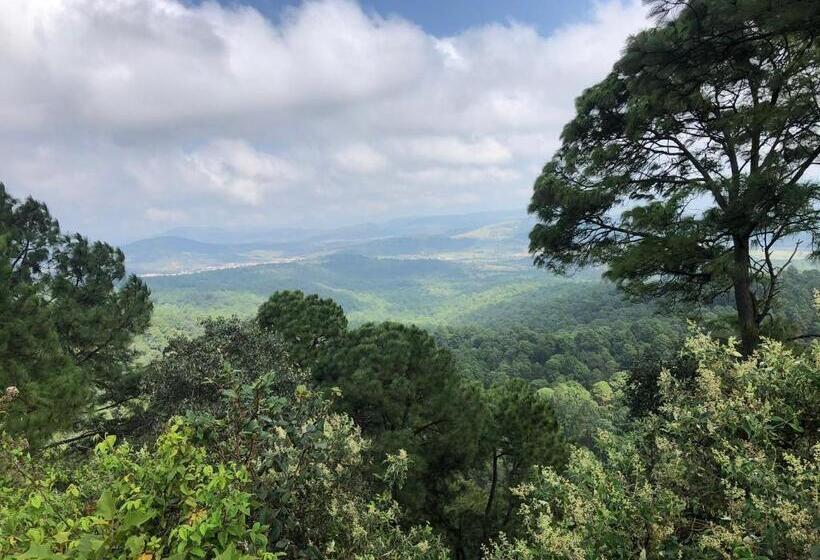 فندق Chiflon Villas