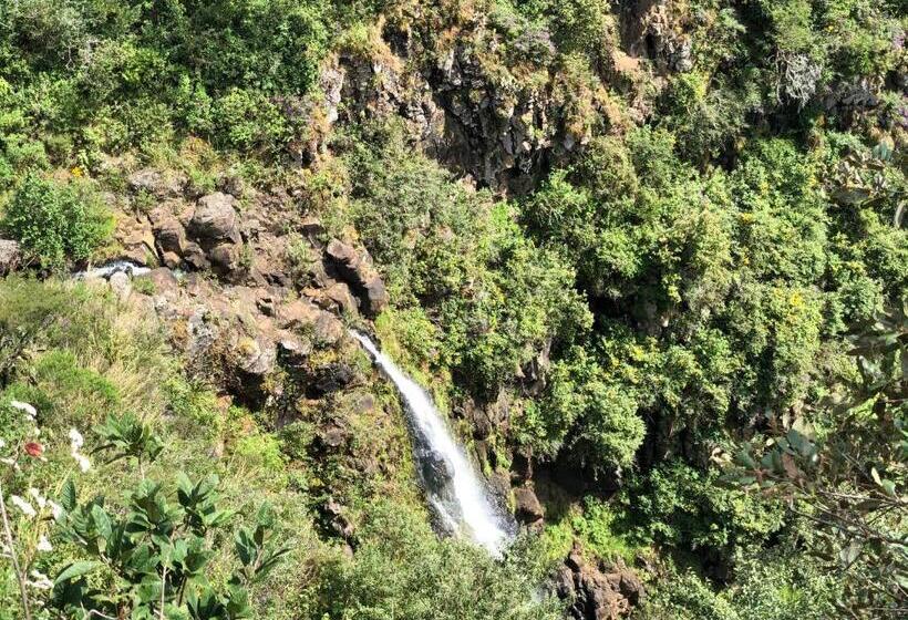 فندق Chiflon Villas