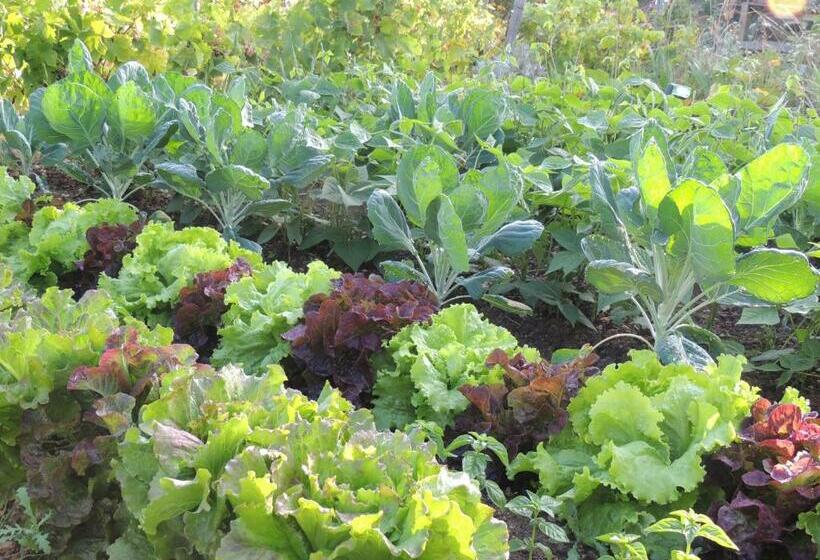 Пансион Villa Orangère Chambre Et Table D Hôtes