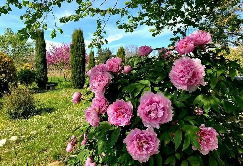 Aamiaismajoitus (B&B) Casa Stella Country House