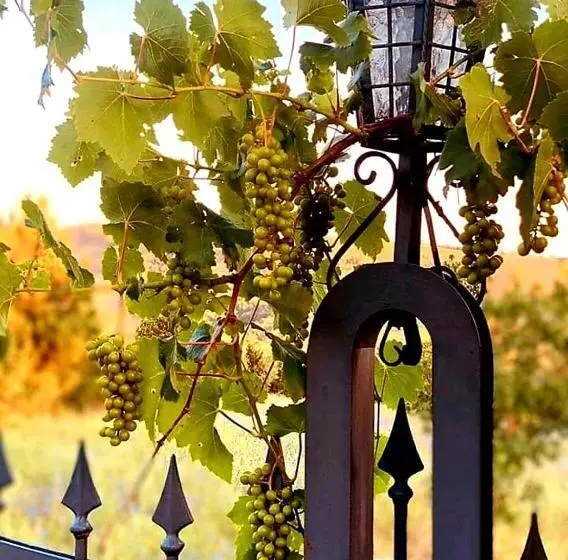 Aamiaismajoitus (B&B) Casa Stella Country House