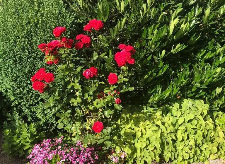 تختخواب و صبحانه Villa Elena