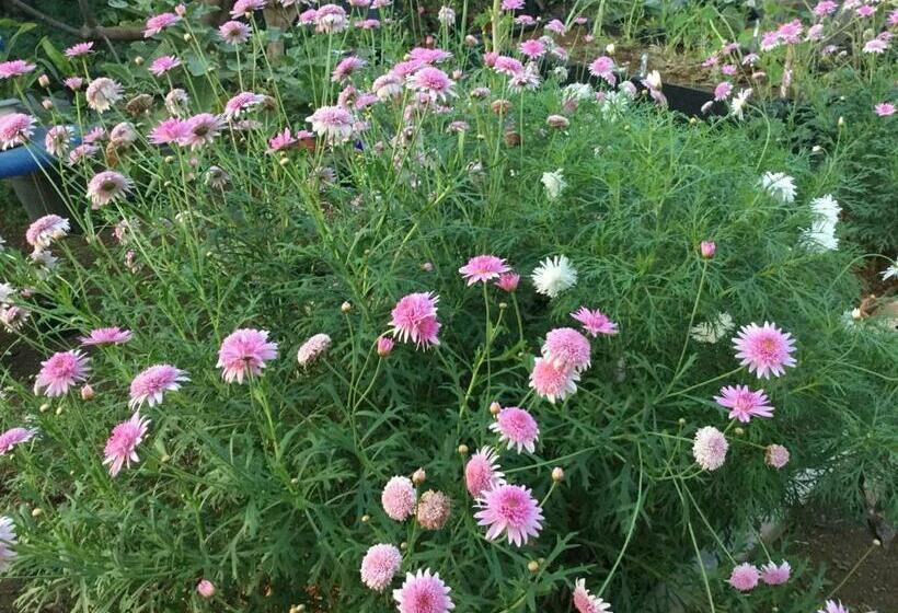 پانسیون Lé Fè Coco