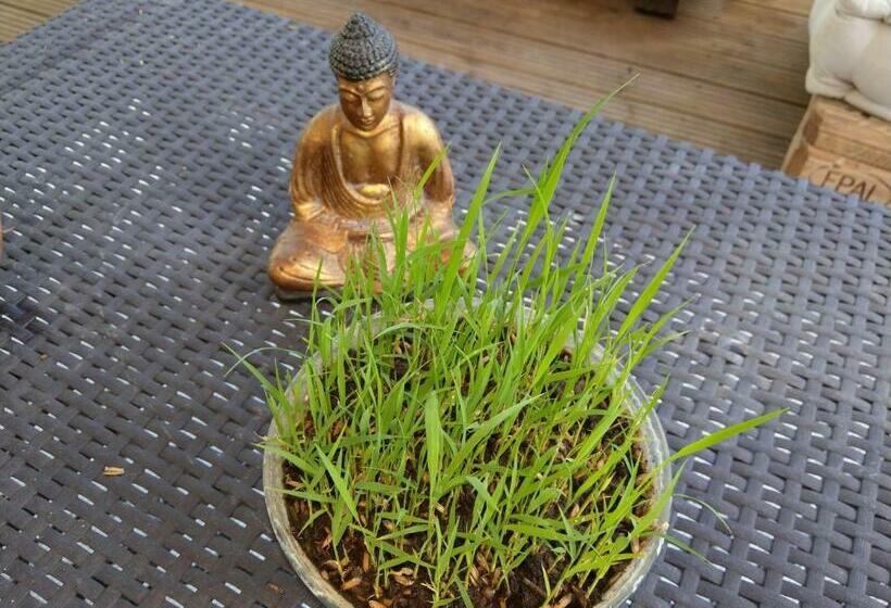 پانسیون La Plaine Itude & Spa