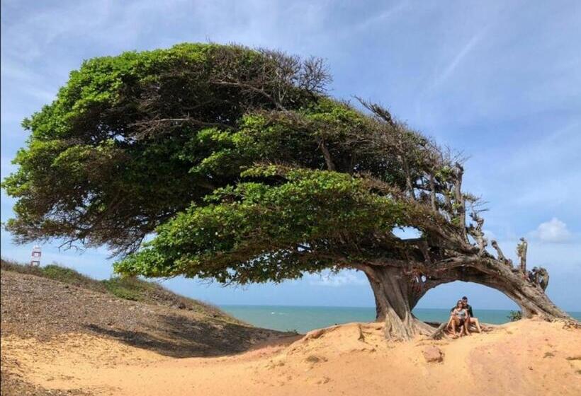 بنسيون Pousada Casa Feliz Maxaranguape