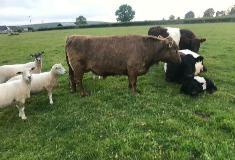 펜션 Travellers Rest