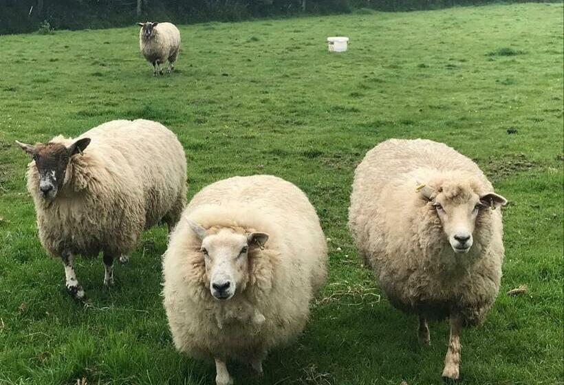 펜션 Travellers Rest