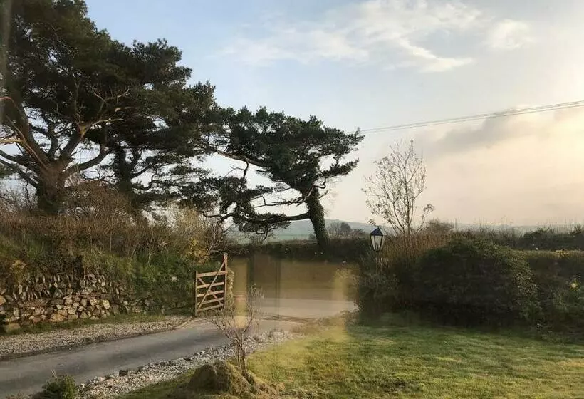 ペンション Travellers Rest