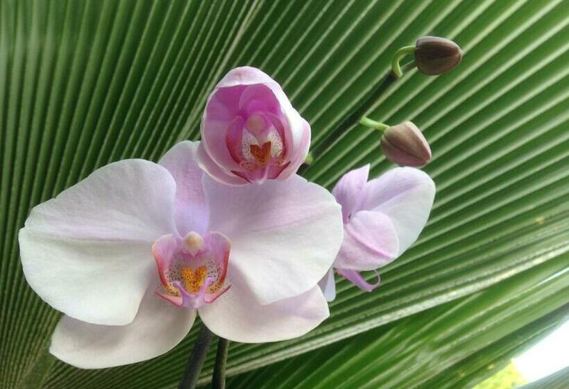 تختخواب و صبحانه Chambre D Hôte Coeur Coco Piscine