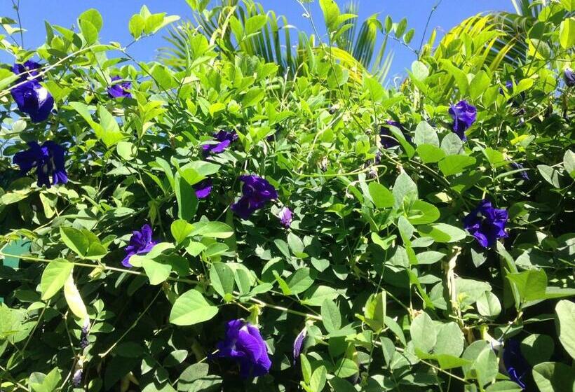 تختخواب و صبحانه Chambre D Hôte Coeur Coco Piscine