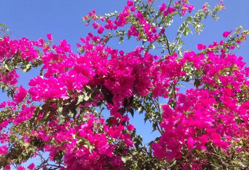 تختخواب و صبحانه Chambre D Hôte Coeur Coco Piscine