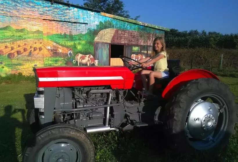 ベッドアンドブレックファースト La Petite Ferme De Pouillon   Parc Animalier   Aire De Loisirs