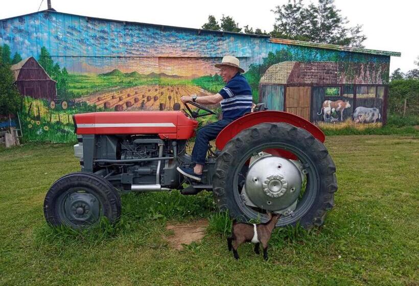 Bed and Breakfast La Petite Ferme De Pouillon Parc Animalier Aire De Loisirs