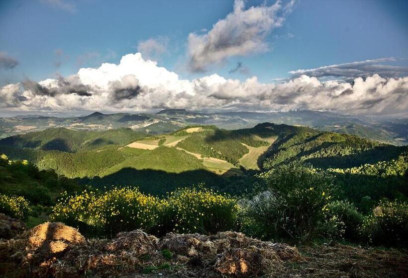 ホテル Agriturismo Il Pagliaio
