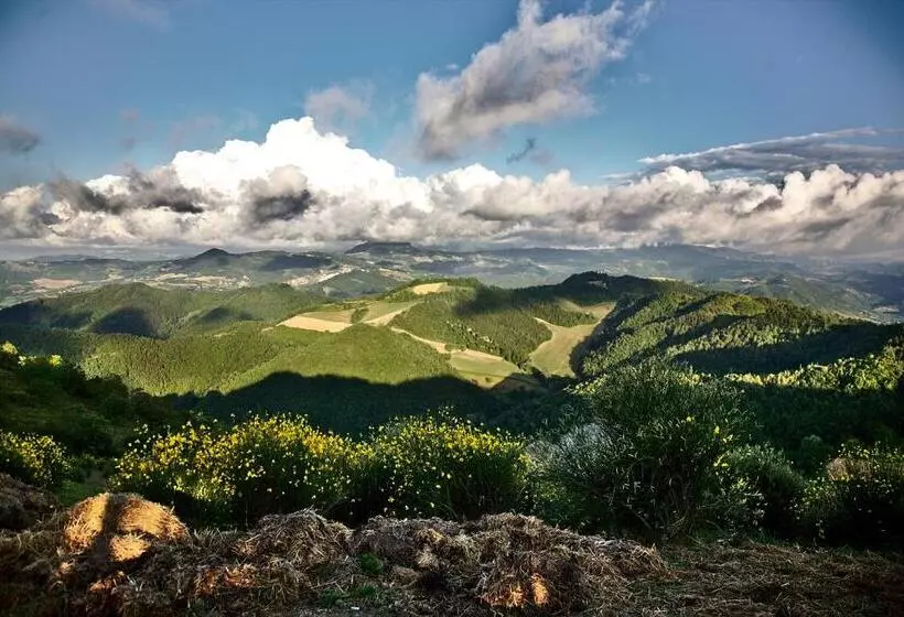ホテル Agriturismo Il Pagliaio