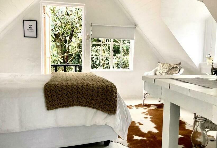 פנסיון Drewry Lane