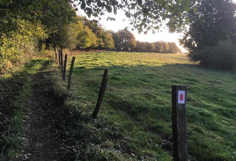 پانسیون L’aragne