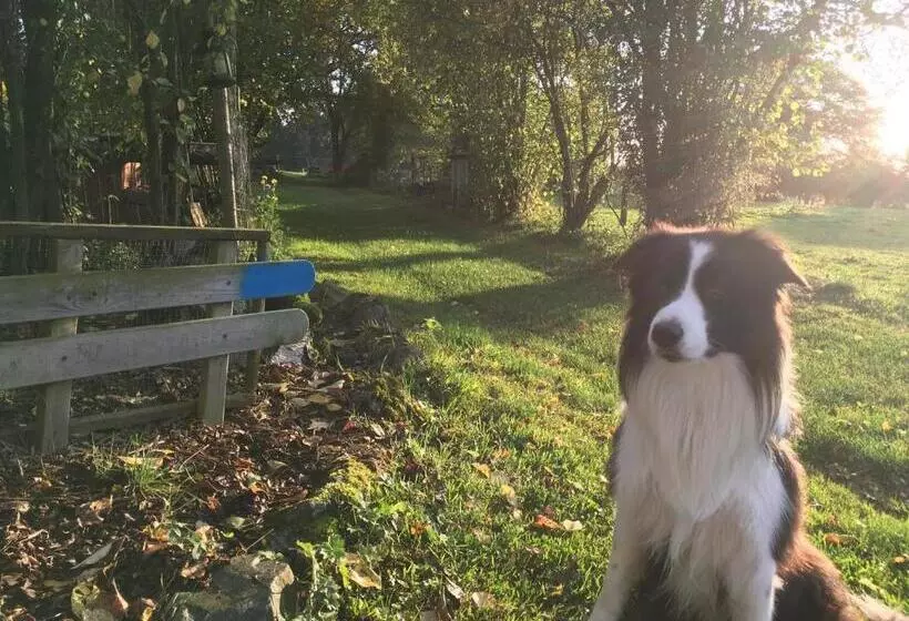 ペンション L’aragne