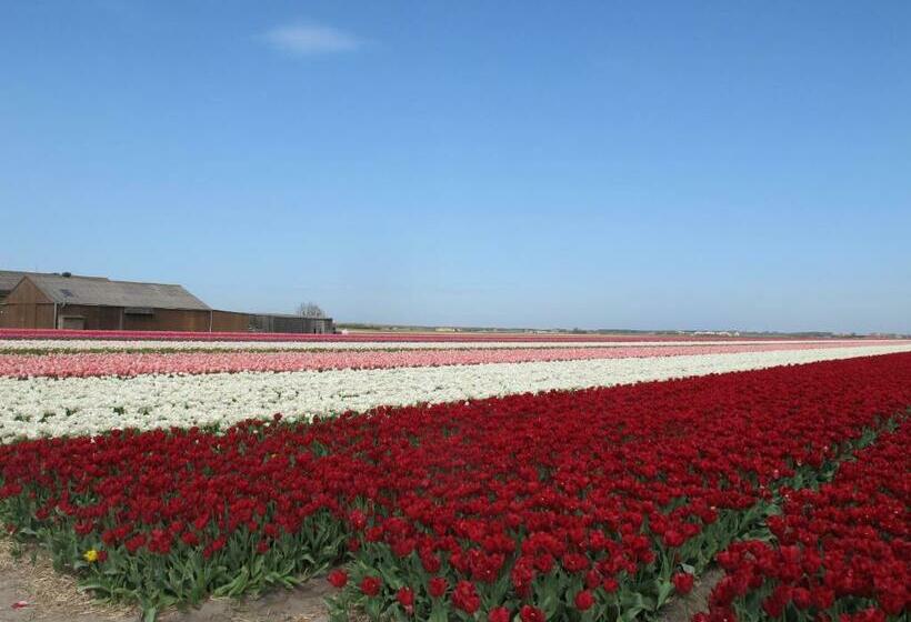 ベッドアンドブレックファースト Achter Het Anker